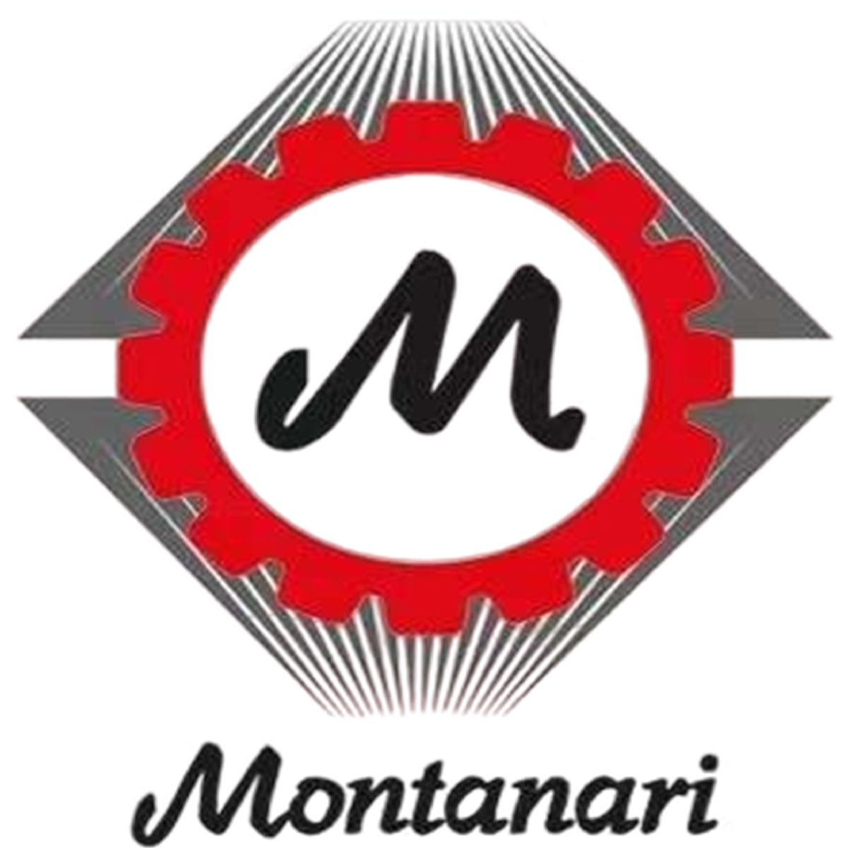 MONTANARI GROUP GERARLESS GEARBOX MACHINES Logo