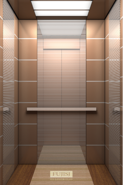 Indoor Passenger Elevator